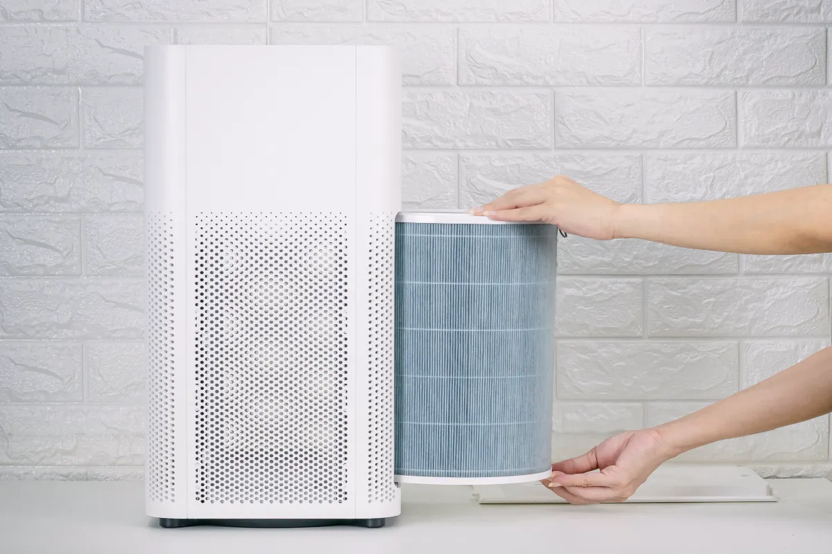 How Often to Change Air Purifier Filter