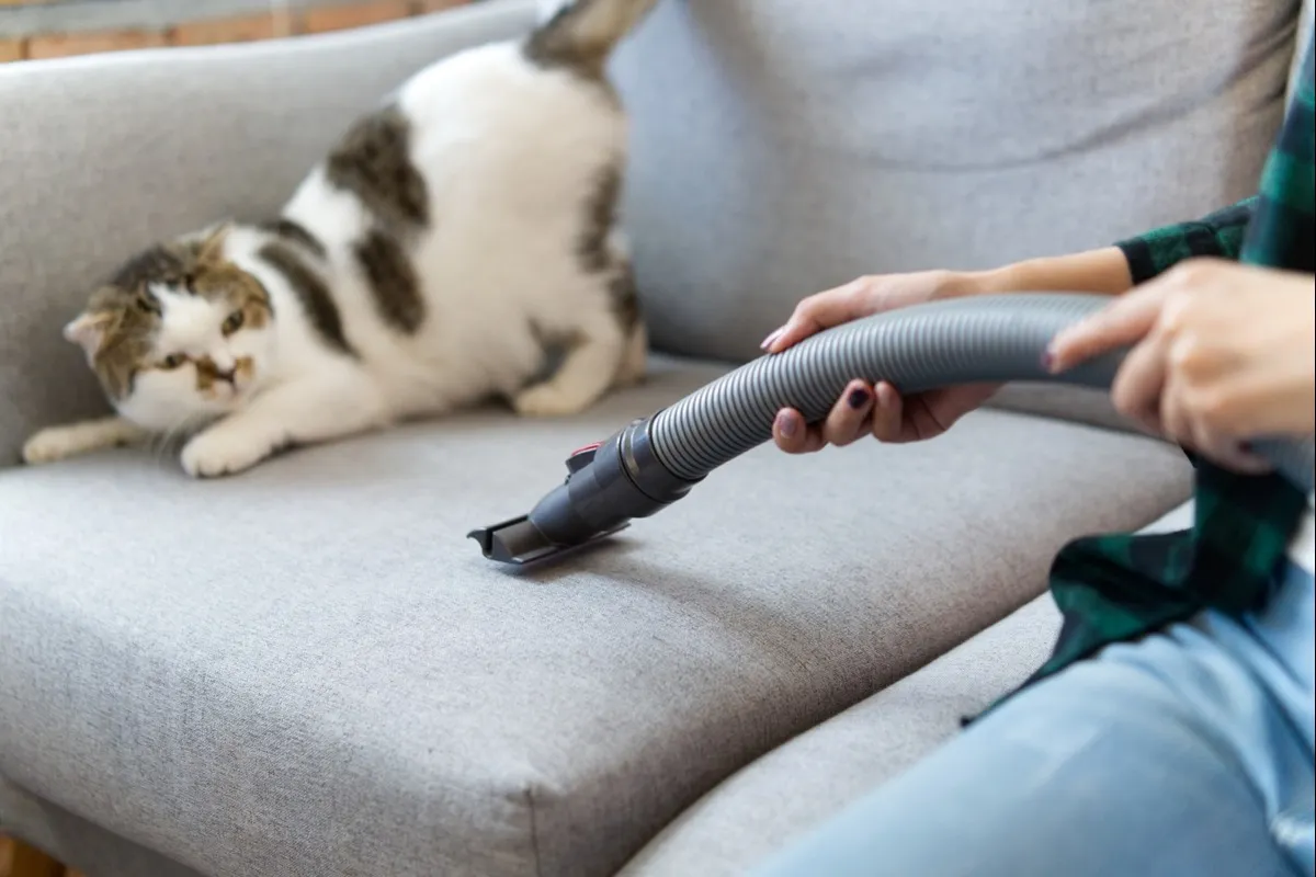 Best Vacuums for Pet Hair